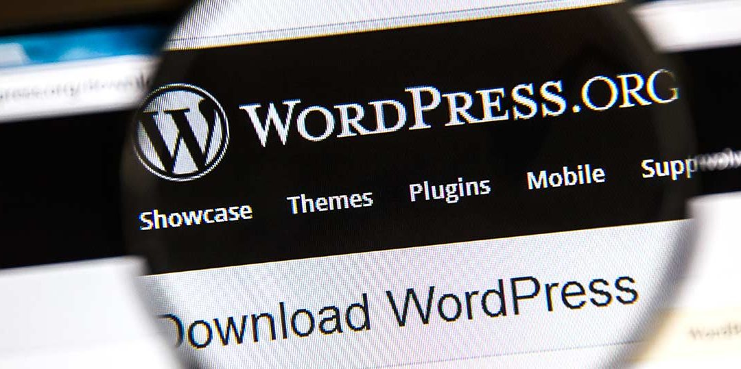 Image of a computer screen on the page wordpress.org